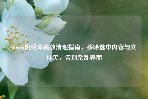 Steam游戏库高效清理指南,移除选中内容与文件夹,告别杂乱界面