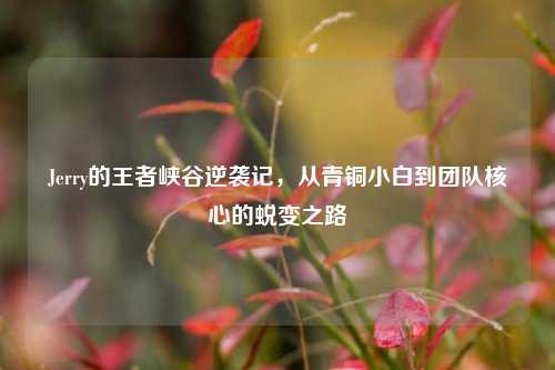 Jerry的王者峡谷逆袭记，从青铜小白到团队核心的蜕变之路