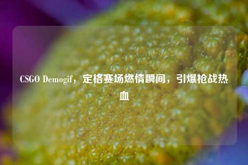 CSGO Demogif,定格赛场燃情瞬间,引爆枪战热血