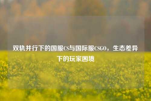 双轨并行下的国服CS与国际服CSGO，生态差异下的玩家困境