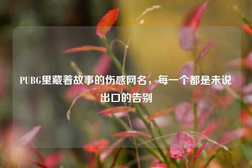 PUBG里藏着故事的伤感网名,每一个都是未说出口的告别