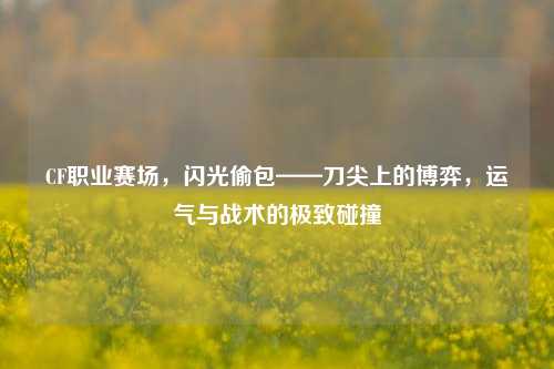 CF职业赛场，闪光偷包——刀尖上的博弈，运气与战术的极致碰撞