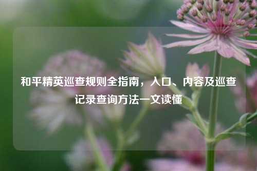 和平精英巡查规则全指南，入口、内容及巡查记录查询 *** 一文读懂