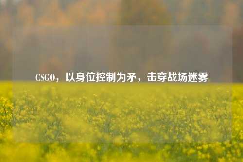CSGO，以身位控制为矛，击穿战场迷雾
