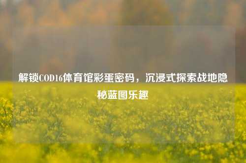解锁COD16体育馆彩蛋密码,沉浸式探索战地隐秘蓝图乐趣