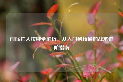 PUBG扛人按键全解析，从入门到精通的战术进阶指南