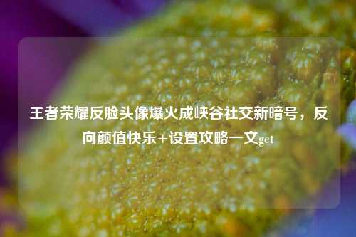 王者荣耀反脸头像爆火成峡谷社交新暗号，反向颜值快乐+设置攻略一文get
