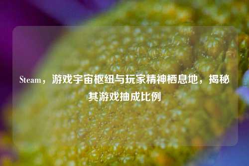 Steam，游戏宇宙枢纽与玩家精神栖息地，揭秘其游戏抽成比例