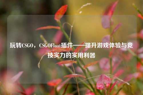 玩转CSGO，CSGOFloat插件——提升游戏体验与竞技实力的实用利器