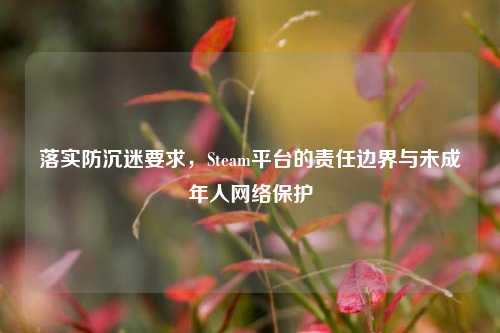 落实防沉迷要求，Steam平台的责任边界与未成年人 *** 保护