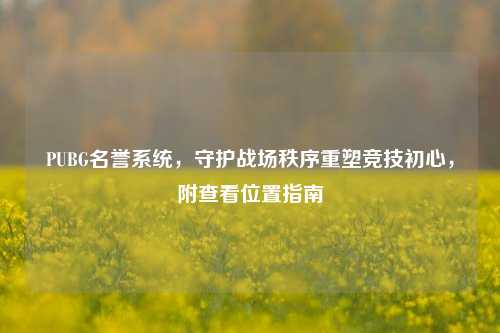 PUBG名誉系统，守护战场秩序重塑竞技初心，附查看位置指南