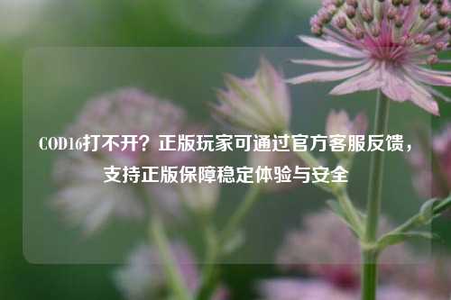 COD16打不开？正版玩家可通过官方 *** 反馈，支持正版保障稳定体验与安全