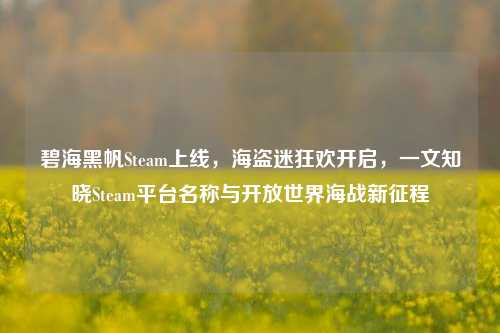 碧海黑帆Steam上线，海盗迷狂欢开启，一文知晓Steam平台名称与开放世界海战新征程