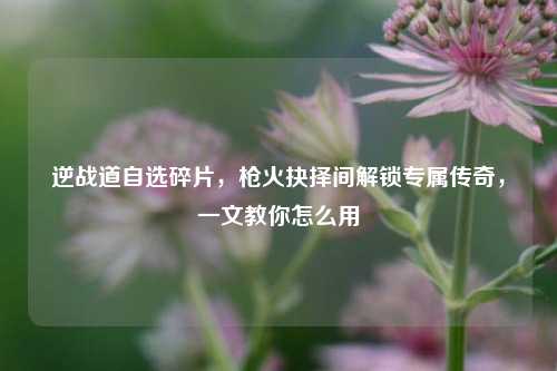 逆战道自选碎片，枪火抉择间解锁专属传奇，一文教你怎么用