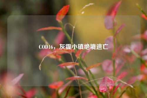 COD16，灰霾小镇绝境逃亡