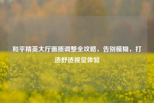 和平精英大厅画质调整全攻略，告别模糊，打造舒适视觉体验