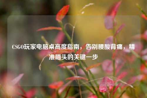 CSGO玩家电脑桌高度指南，告别腰酸背痛，精准瞄头的关键一步