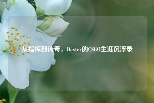 从指挥到传奇,Dexter的CSGO生涯沉浮录