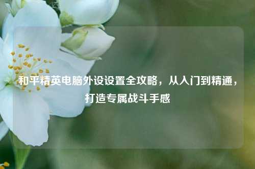 和平精英电脑外设设置全攻略，从入门到精通，打造专属战斗手感