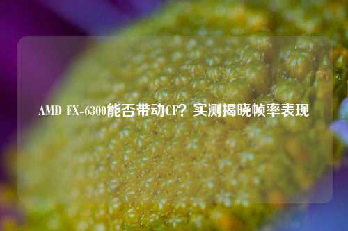 AMD FX-6300能否带动CF？实测揭晓帧率表现