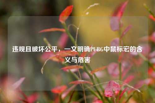 违规且破坏公平，一文明确PUBG中鼠标宏的含义与危害