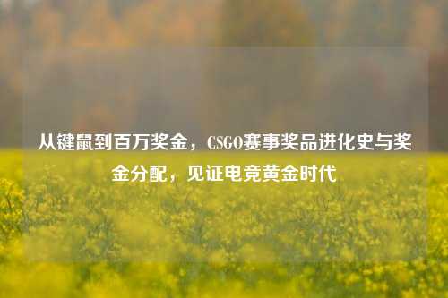 从键鼠到百万奖金，CSGO赛事奖品进化史与奖金分配，见证电竞黄金时代
