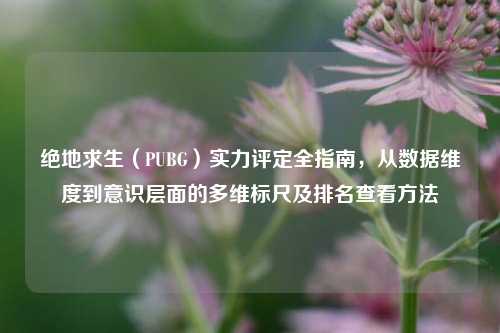 绝地求生（PUBG）实力评定全指南，从数据维度到意识层面的多维标尺及排名查看 *** 