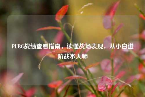 PUBG战绩查看指南，读懂战场表现，从小白进阶战术***