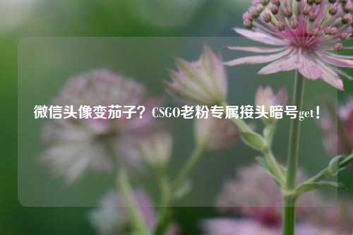 微信头像变茄子？CSGO老粉专属接头暗号get！