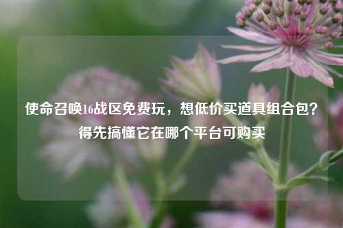 使命召唤16战区免费玩，想低价买道具组合包？得先搞懂它在哪个平台可购买