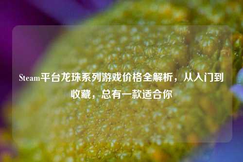 Steam平台龙珠系列游戏价格全解析，从入门到收藏，总有一款适合你