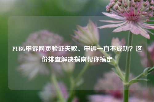 PUBG申诉网页验证失败、申诉一直不成功？这份排查解决指南帮你搞定