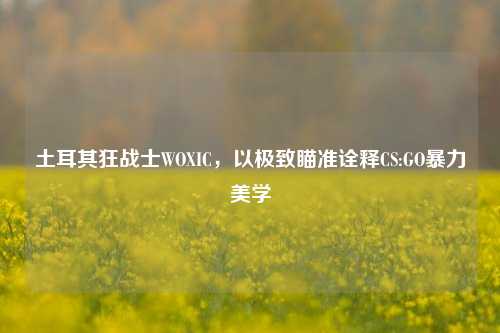 土耳其狂战士WOXIC，以极致瞄准诠释CS:GO暴力美学