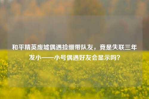 和平精英废墟偶遇捡绷带队友，竟是失联三年发小——小号偶遇好友会显示吗？