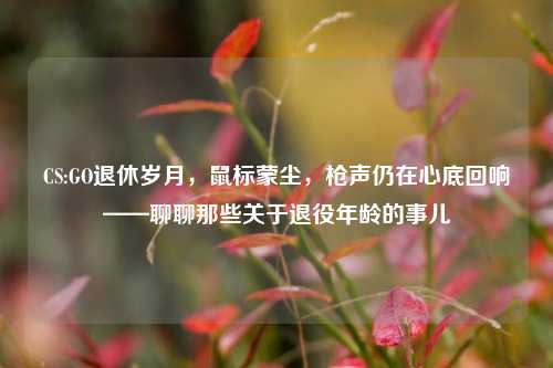 CS:GO退休岁月，鼠标蒙尘，枪声仍在心底回响——聊聊那些关于退役年龄的事儿