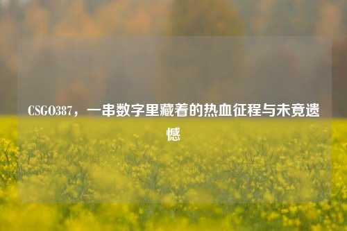 CSGO387，一串数字里藏着的热血征程与未竟遗憾