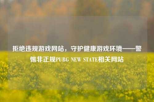拒绝违规游戏网站，守护健康游戏环境——警惕非正规PUBG NEW STATE相关网站