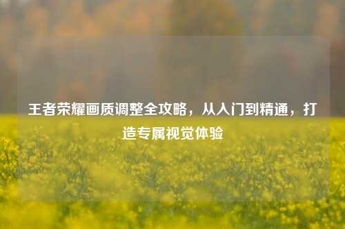 王者荣耀画质调整全攻略，从入门到精通，打造专属视觉体验