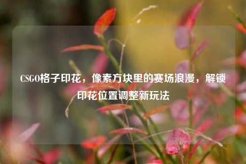CSGO格子印花，像素方块里的赛场浪漫，解锁印花位置调整新玩法