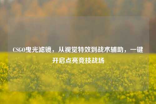 CSGO曳光滤镜，从视觉特效到战术辅助，一键开启点亮竞技战场
