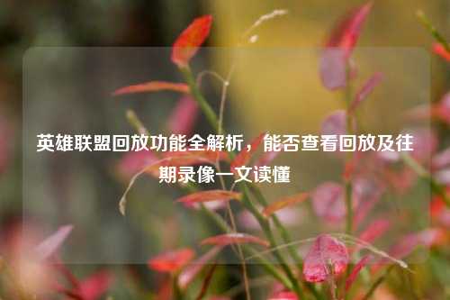英雄联盟回放功能全解析，能否查看回放及往期录像一文读懂