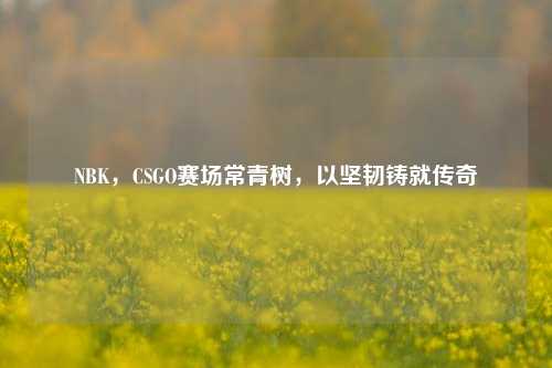 NBK，CSGO赛场常青树，以坚韧铸就传奇