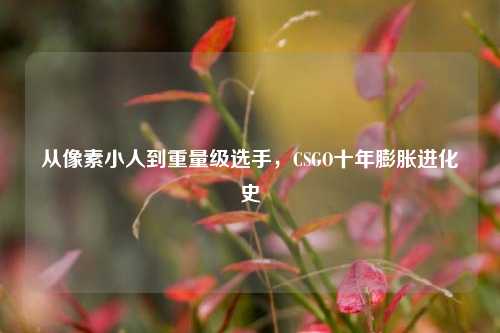 从像素小人到重量级选手，CSGO十年膨胀进化史