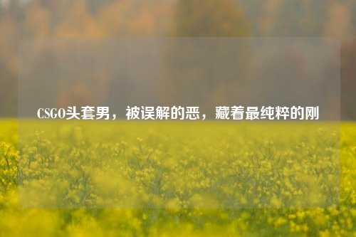 CSGO头套男，被误解的恶，藏着最纯粹的刚