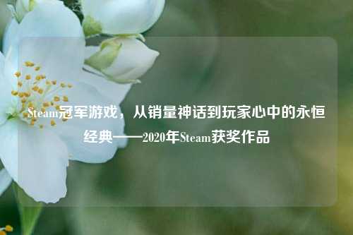 Steam冠军游戏，从销量神话到玩家心中的永恒经典——2020年Steam获奖作品