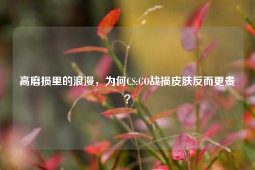 高磨损里的浪漫，为何CS:GO战损皮肤反而更贵？