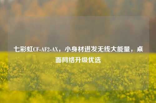 七彩虹CF-AF2-AX，小身材迸发无线大能量，桌面 *** 升级优选