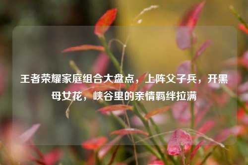 王者荣耀家庭组合大盘点，上阵父子兵，开黑母女花，峡谷里的亲情羁绊拉满