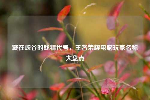 藏在峡谷的戏精代号，王者荣耀电脑玩家名称大盘点