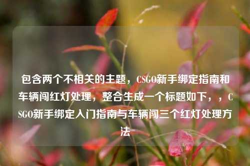 包含两个不相关的主题，CSGO新手绑定指南和车辆闯红灯处理，整合生成一个标题如下，，CSGO新手绑定入门指南与车辆闯三个红灯处理 *** 